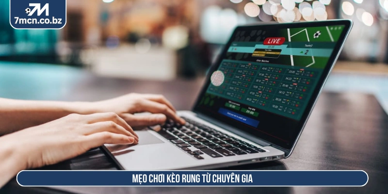 Mẹo chơi kèo rung từ chuyên gia 